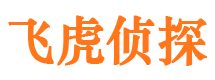 滨湖市侦探调查公司